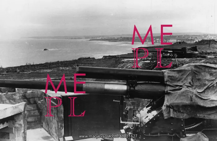 : German coastal artillery on the Atlantic Wall : German coastal artillery on the Atlantic Wall