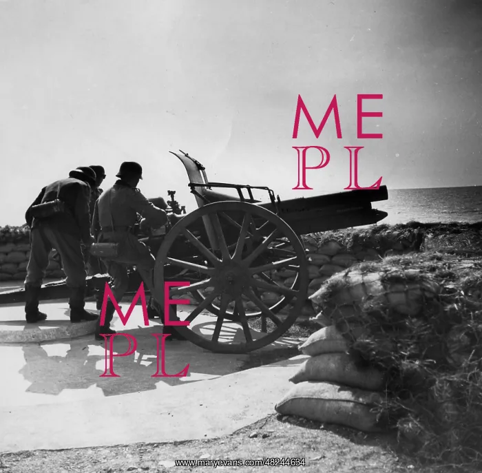 : German coastal artillery on the Atlantic Wall : German coastal artillery on the Atlantic Wall