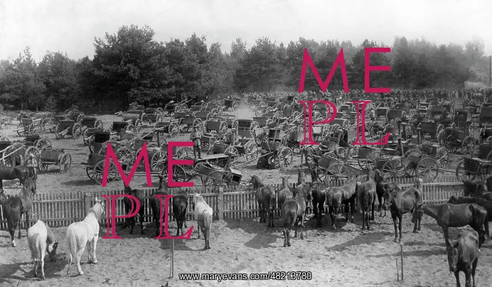 : German collection point for spoils of war, 1914 : German collection point for spoils of war, 1914