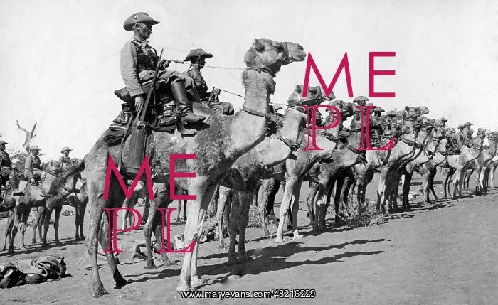: German Colonial Army, 1916 : German Colonial Army, 1916
