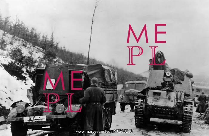 : German column in Hungary, 1945 : German column in Hungary, 1945