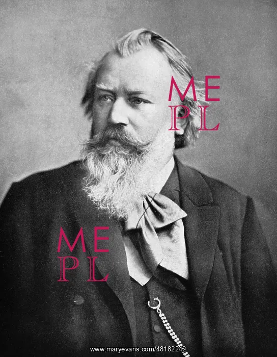 : German composer Johannes Brahms (1833-1897) : German composer Johannes Brahms (1833-1897)