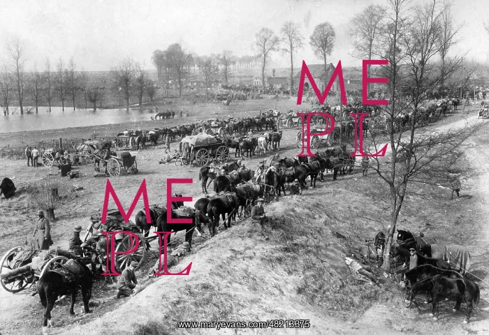 : German convoy rests at the Western Front, 1918 : German convoy rests at the Western Front, 1918