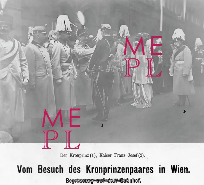 : The German crown prince and princess visiting Austria, 1911 : The German crown prince and princess visiting Austria, 1911