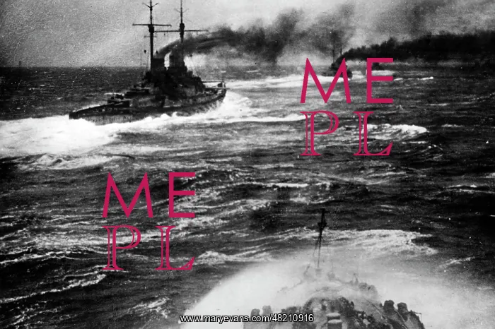 : German deep sea fleet, 1916 : German deep sea fleet, 1916