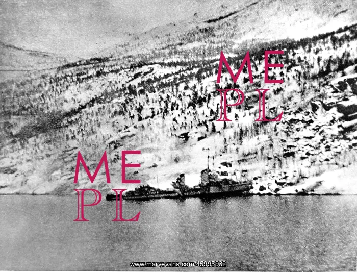 : German Destroyer Aground at Narvik; Second World War, 1940 : German Destroyer Aground at Narvik; Second World War, 1940