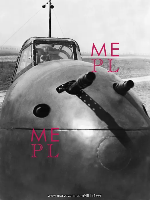 : German destroyer Messerschmitt Me 110, 1942 : German destroyer Messerschmitt Me 110, 1942
