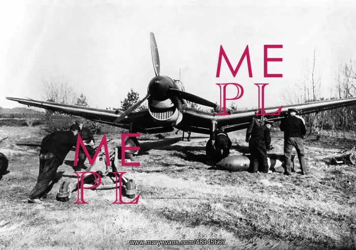 : German dive bomber, May 1940 : German dive bomber, May 1940