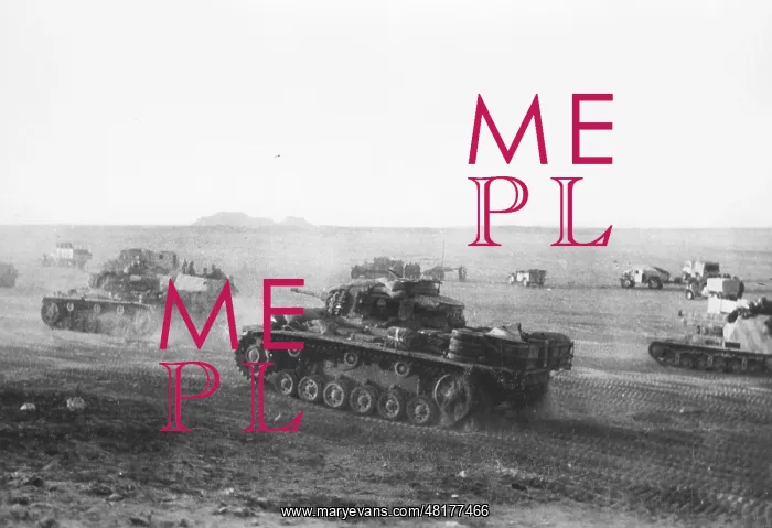 : German division in Africa, 1942 : German division in Africa, 1942