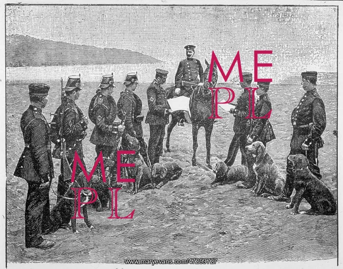: GERMAN DOGS OF WAR : GERMAN DOGS OF WAR