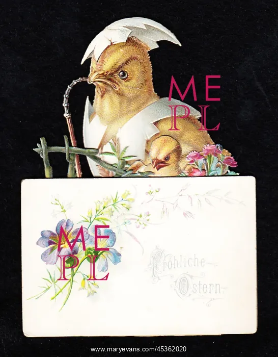  : German Easter card with chicks and eggshells
