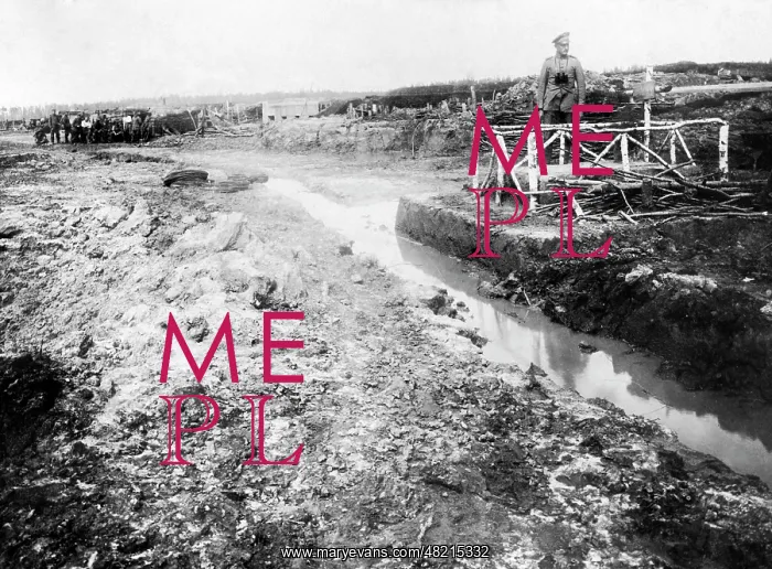 : German emplacement in the Russian marshland, 1916 : German emplacement in the Russian marshland, 1916
