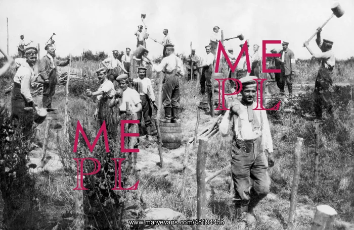 : German engineers building barbed wire defenses : German engineers building barbed wire defenses