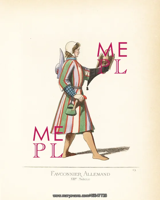: German falconer, 13th century : German falconer, 13th century