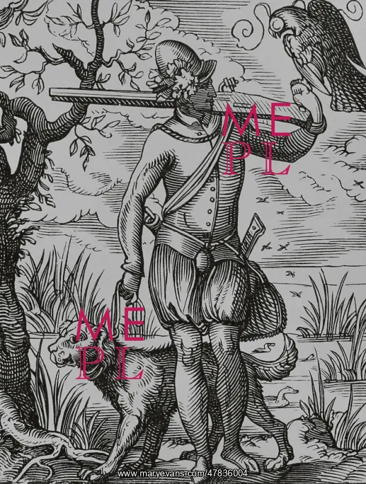 : German falconer, 16th century. Engraving : German falconer, 16th century. Engraving