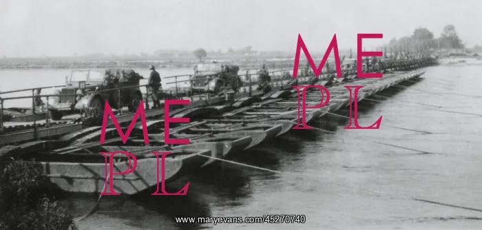 : The German Falke Division crossing the Bug River : The German Falke Division crossing the Bug River