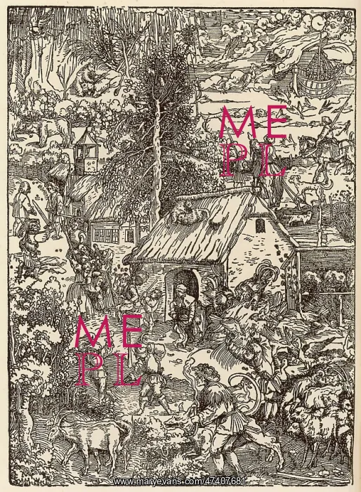 : GERMAN FARM C16 : GERMAN FARM C16