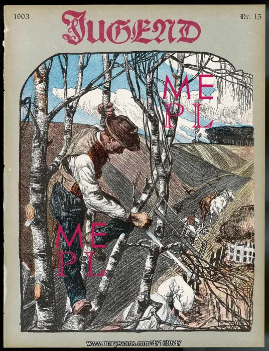 : German farmer pruning his birch trees : German farmer pruning his birch trees