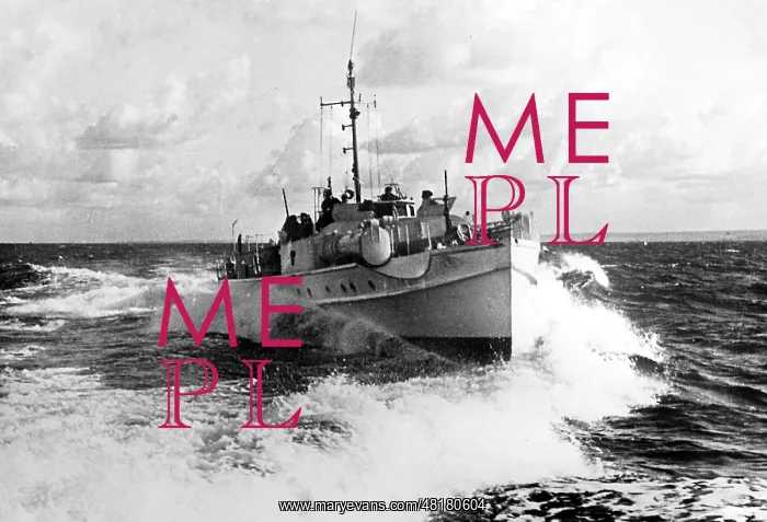 : German Fast Attack Boat : German Fast Attack Boat