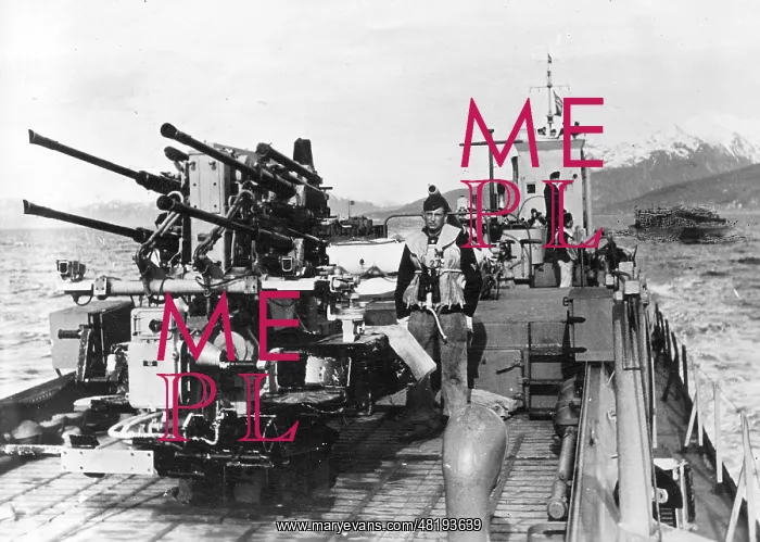 : German ferry in the Baltic Sea, 1944 : German ferry in the Baltic Sea, 1944