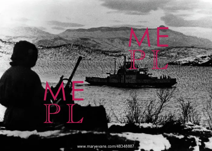 : German ferry boat in Norway, 1945 : German ferry boat in Norway, 1945