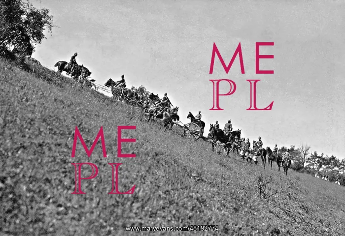: German field artillery on a maneuver, 1902 : German field artillery on a maneuver, 1902