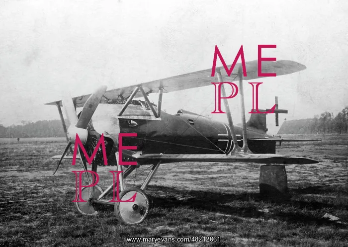  : German fighter, 1918