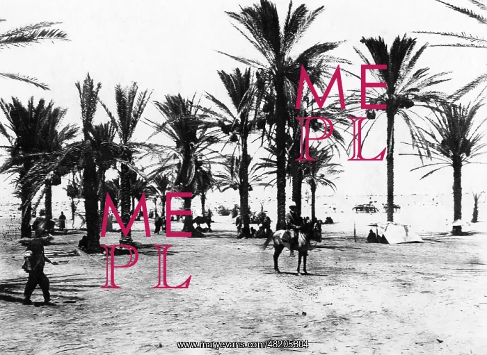 : German fighter pilots in Bir el Abd, 1917 : German fighter pilots in Bir el Abd, 1917