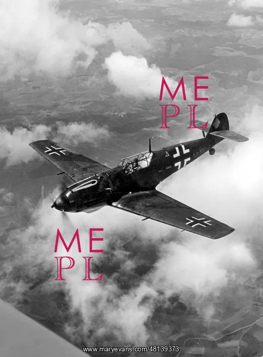 : German fighter plane Messerschmitt Me 109E : German fighter plane Messerschmitt Me 109E