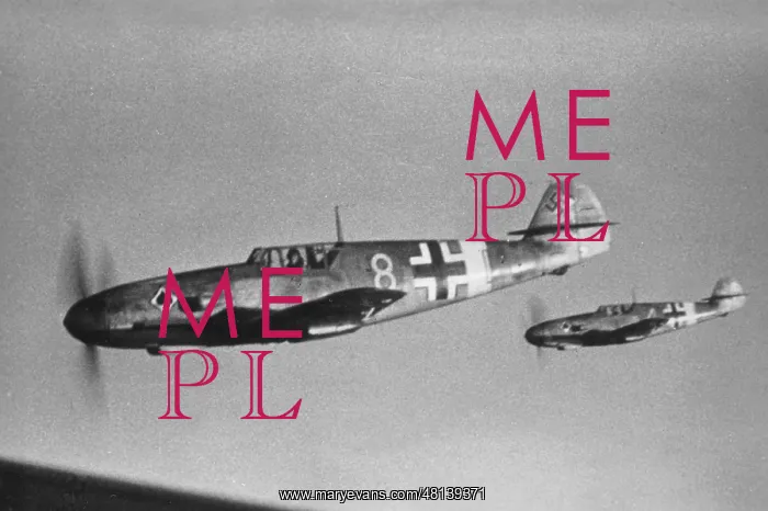 : German fighter plane Messerschmitt Me 109F, 1942 : German fighter plane Messerschmitt Me 109F, 1942