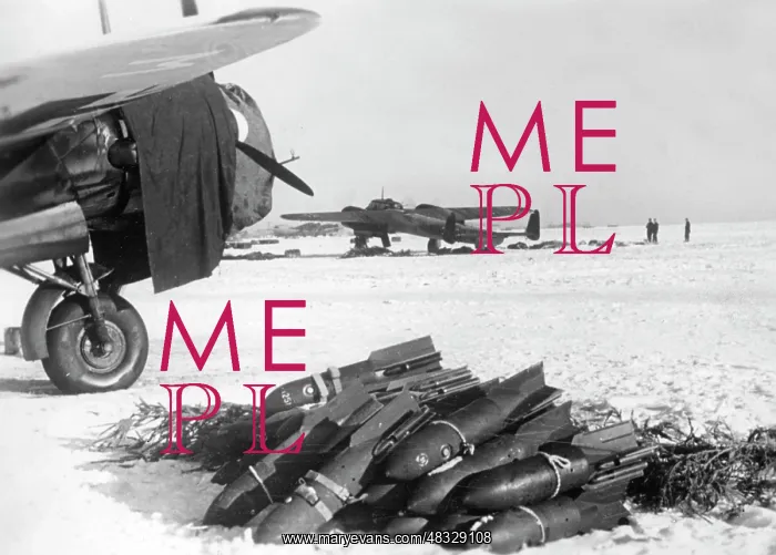 : German fighter planes - the Eastern Front, 1941 : German fighter planes - the Eastern Front, 1941