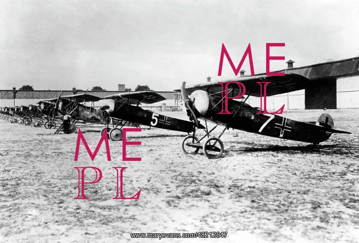 : German fighter planes after the First World War, 1919 : German fighter planes after the First World War, 1919