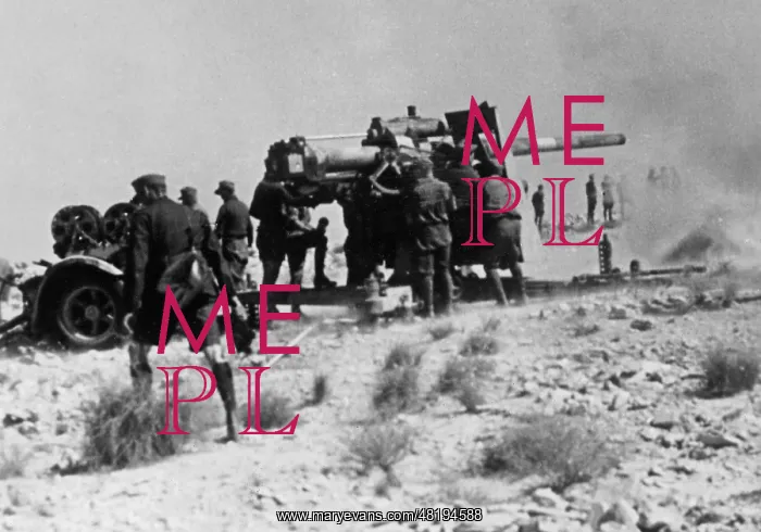 : German Flak in Africa, 1941 : German Flak in Africa, 1941