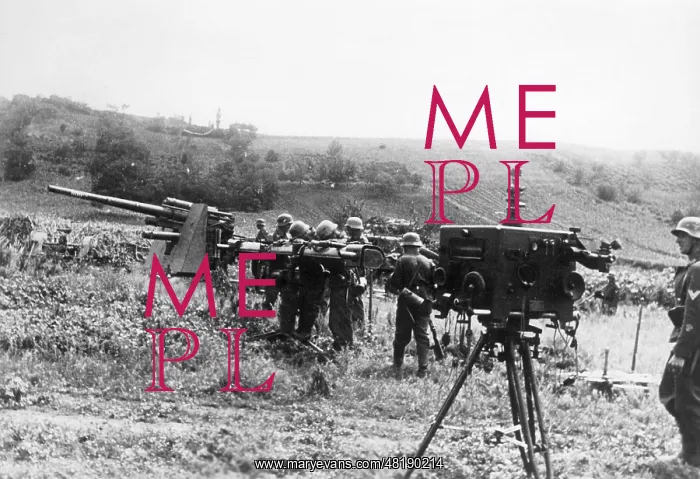 : German Flak at the Eastern Front, 1941 : German Flak at the Eastern Front, 1941