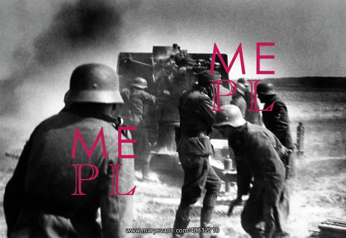 : German flak - Eastern Front, 1942 : German flak - Eastern Front, 1942