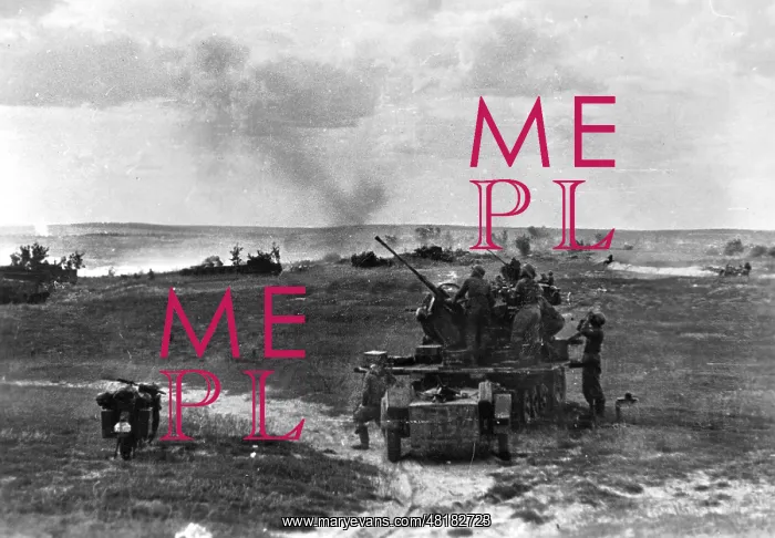 : German Flak on the Eastern front, 1943 : German Flak on the Eastern front, 1943