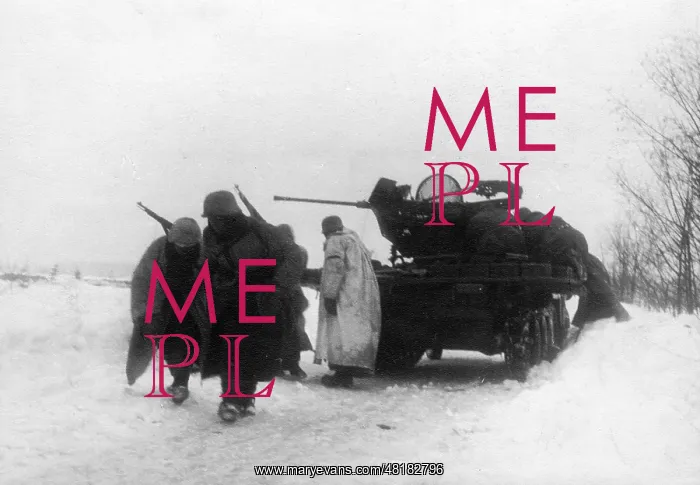 : German Flak on the Eastern front, 1943 : German Flak on the Eastern front, 1943