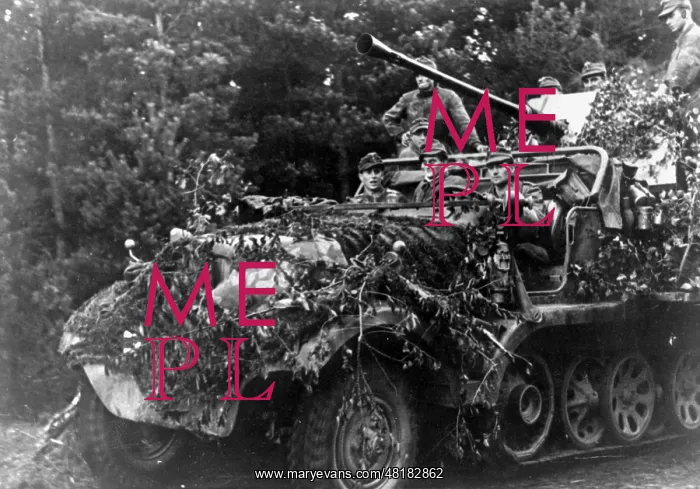: German Flak on the Eastern front, 1944 : German Flak on the Eastern front, 1944