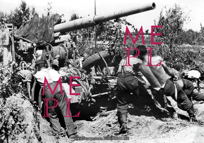 : German flak - Eastern Front, 1944 : German flak - Eastern Front, 1944