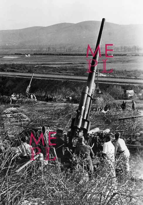: German flak in the Kuban bridgehead, 1943 : German flak in the Kuban bridgehead, 1943