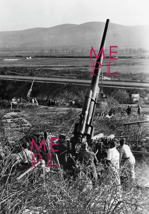 : German flak in the Kuban bridgehead, 1943 : German flak in the Kuban bridgehead, 1943