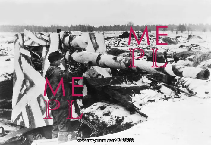: German Flak in a position in East Prussia, 1945 : German Flak in a position in East Prussia, 1945
