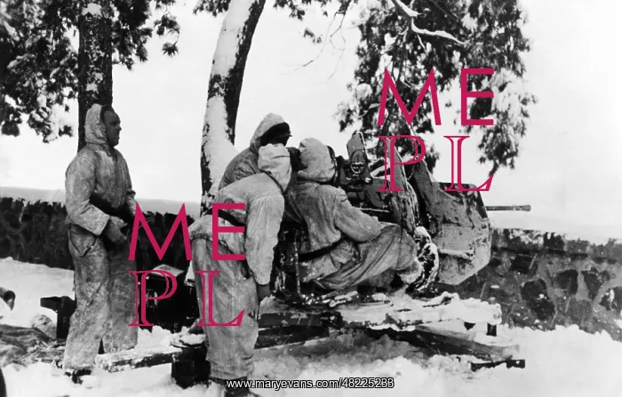 : German flak position in Hungary in 1945 : German flak position in Hungary in 1945