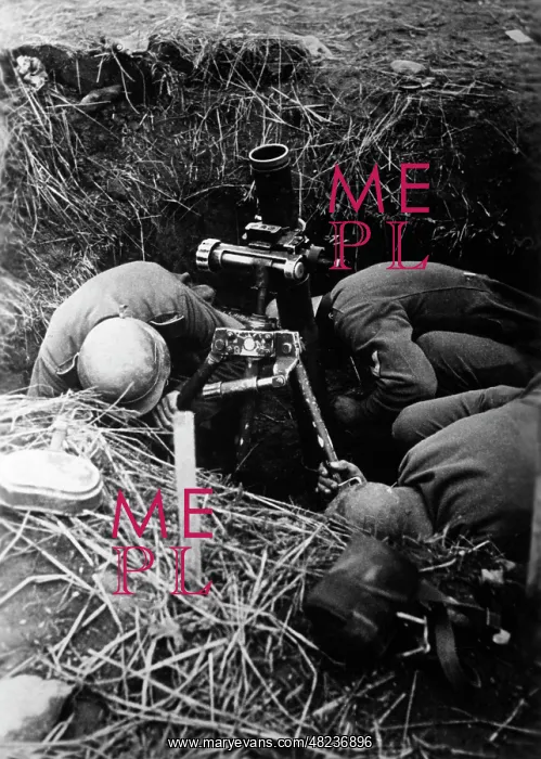 : German grenade launcher on the Eastern Front, 1941 : German grenade launcher on the Eastern Front, 1941