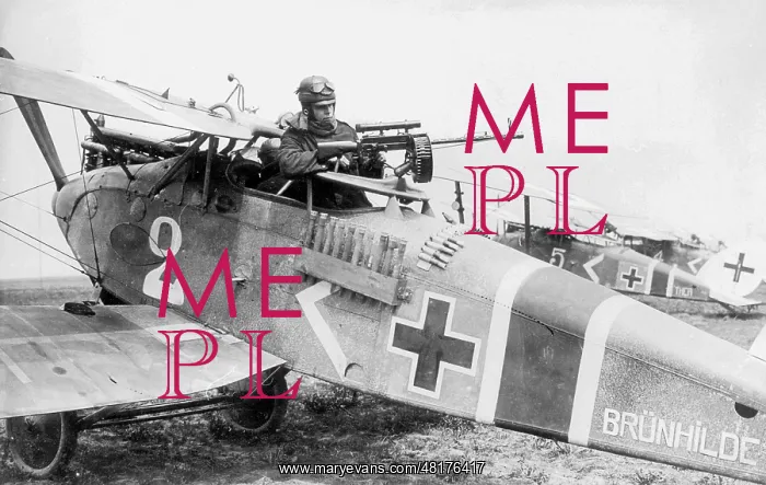 : German Ground Attack Aircraft at the Western Front during Wo : German Ground Attack Aircraft at the Western Front during Wo
