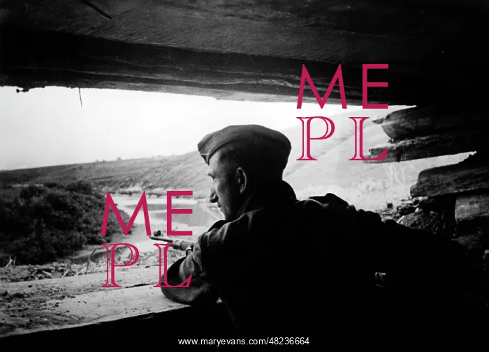 : German guard at the southern Eastern Front, June 1942 : German guard at the southern Eastern Front, June 1942