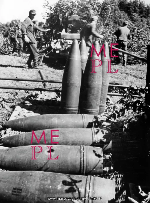 : German gun on the Eastern Front, 1944 : German gun on the Eastern Front, 1944