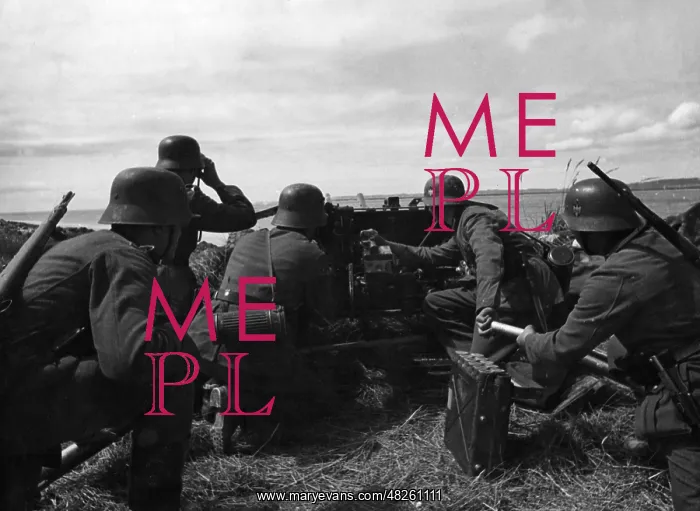 : German gun position on the Rhine, 1940 : German gun position on the Rhine, 1940
