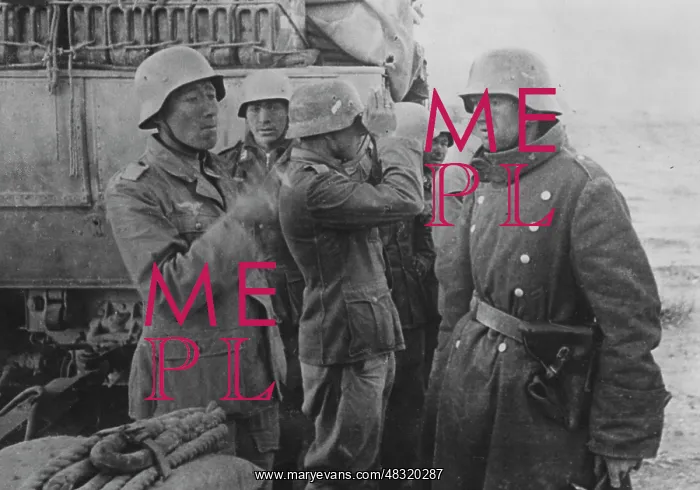 : German gunners in Africa, 1942 : German gunners in Africa, 1942