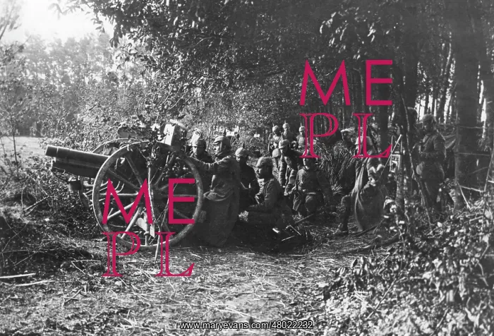 : German gunners with field gun, WW1 : German gunners with field gun, WW1